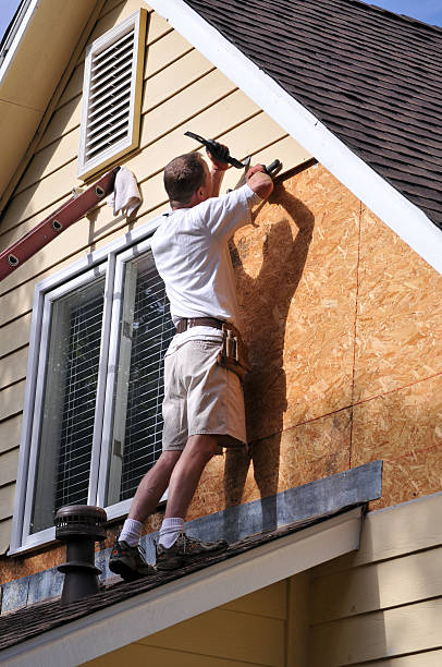 Best Insulated Siding Installation  in USA